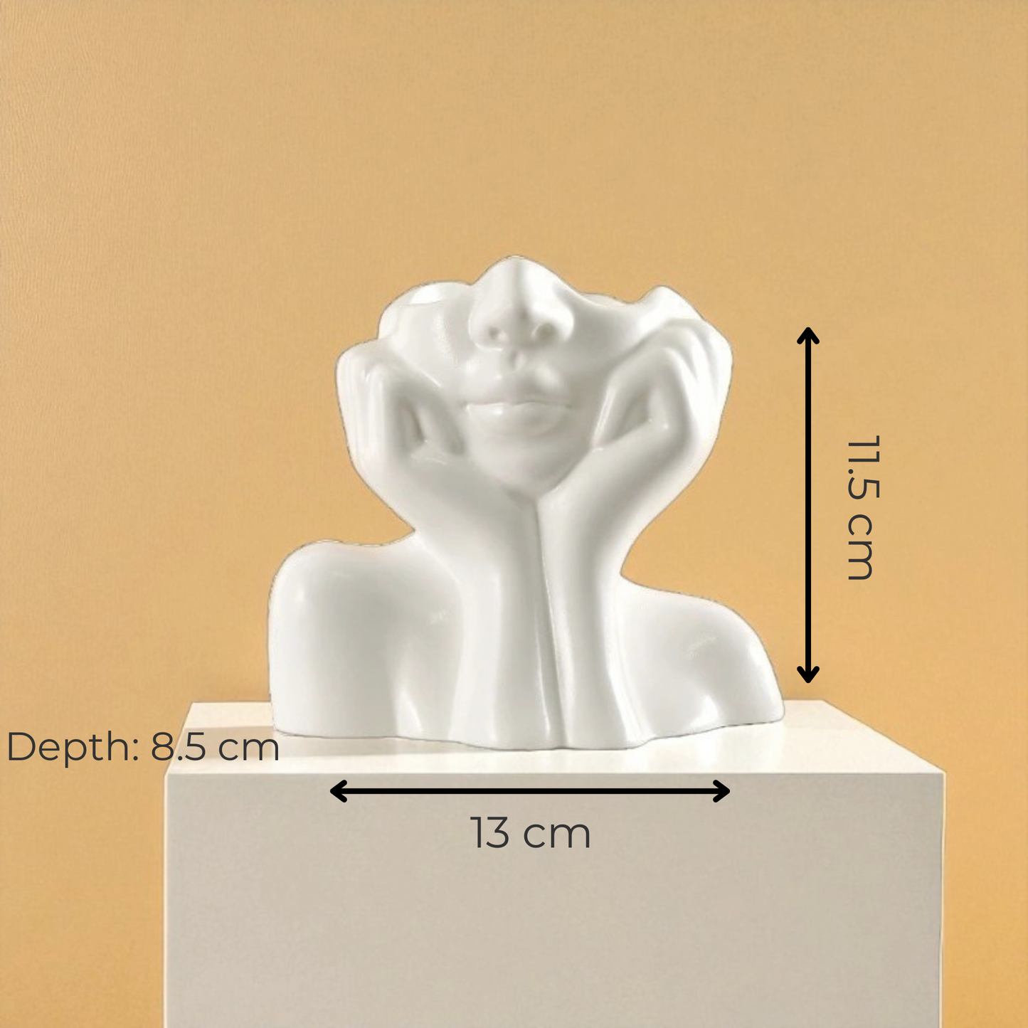 Luna Face Vase – Artistic Home Accent